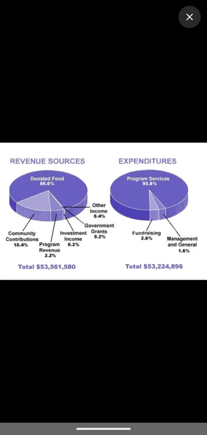 Pie charts opened full screen
